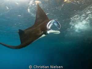Another nice manta encounter on Nusa Penida by Christian Nielsen 